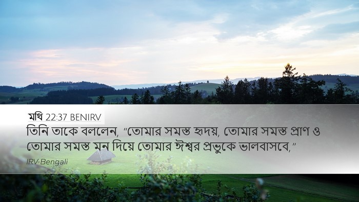মথি 22:37 BENIRV Bible Verse Image