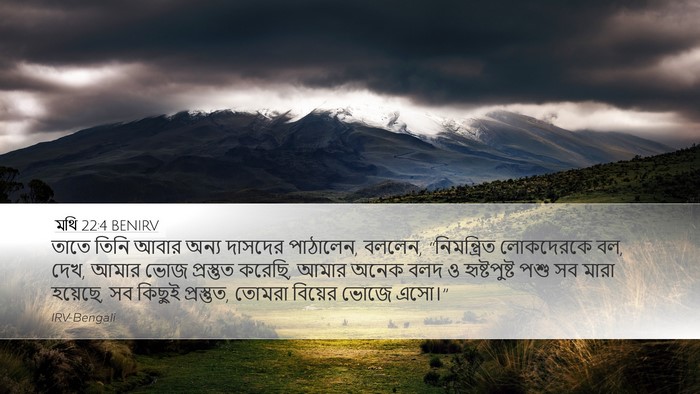 মথি 22:4 BENIRV Desktop Wallpaper - তাতে তিনি আবার - Desktop Bible Verse Wallpaper