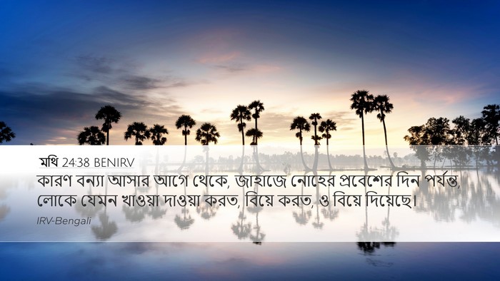 মথি 24:38 BENIRV Bible Verse Image