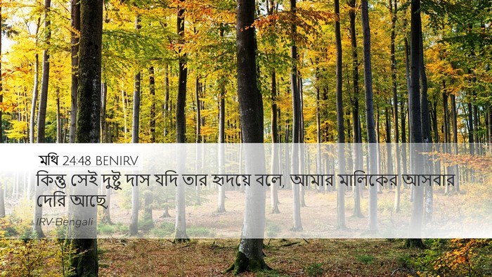 মথি 24:48 BENIRV Bible Verse Image