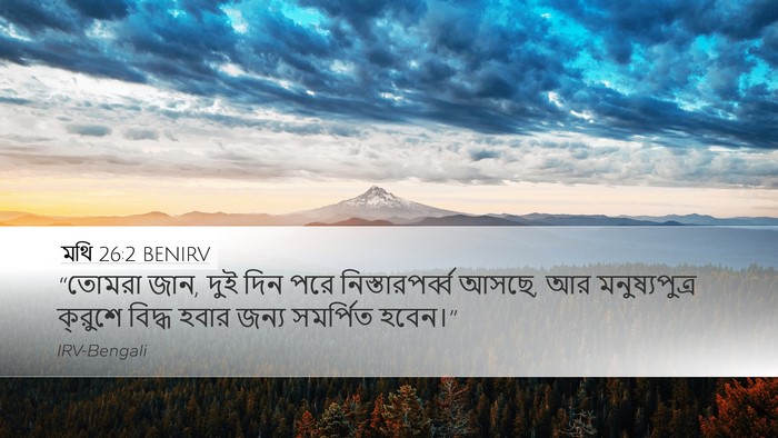 মথি 26:2 BENIRV Desktop Wallpaper - “তোমরা জান, দুই দিন - Desktop Bible Verse Wallpaper