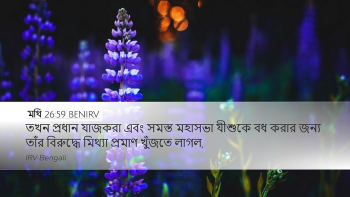 মথি 26:59 BENIRV Bible Verse Image