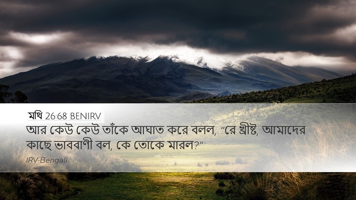 মথি 26:68 BENIRV Desktop Wallpaper - আর কেউ কেউ তাঁকে - Desktop Bible Verse Wallpaper