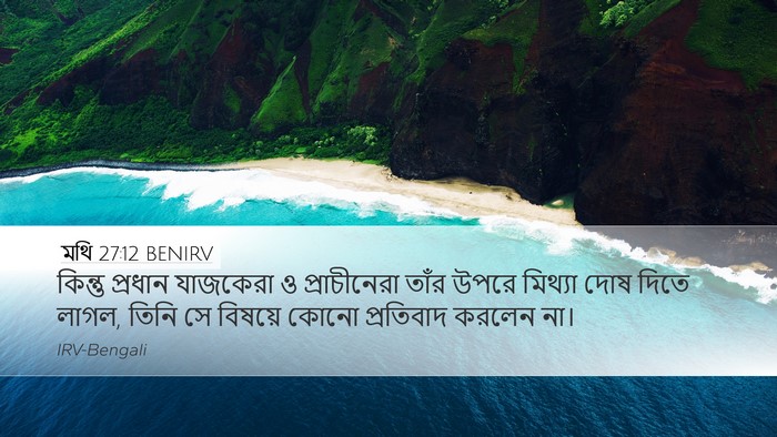 মথি 27:12 BENIRV Bible Verse Image
