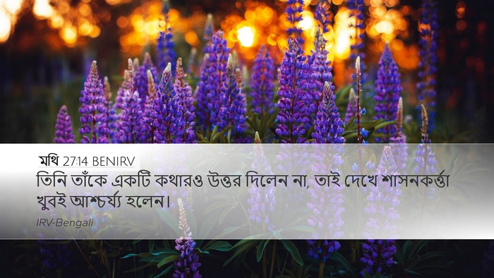 মথি 27:14 BENIRV Bible Verse Image