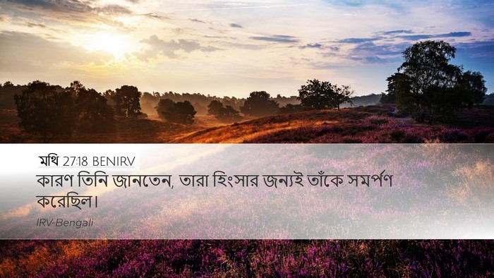 মথি 27:18 BENIRV Bible Verse Image