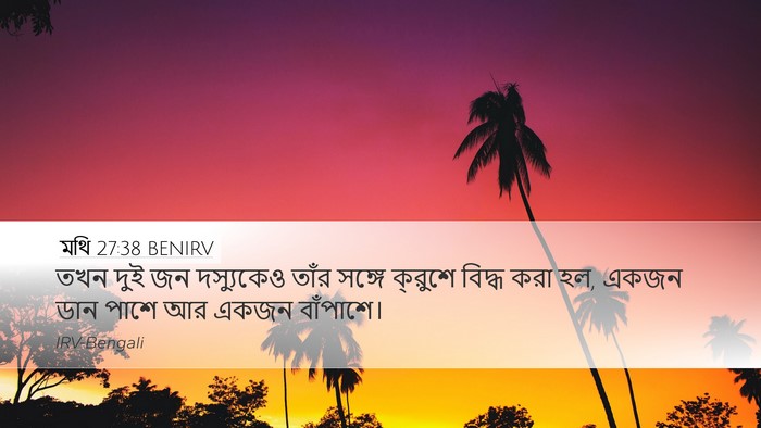 মথি 27:38 BENIRV Bible Verse Image