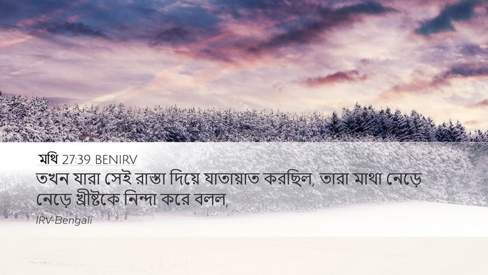 মথি 27:39 BENIRV Bible Verse Image
