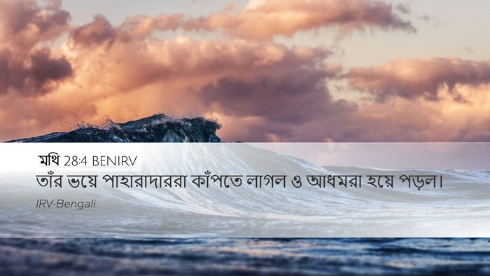 মথি 28:4 BENIRV Desktop Wallpaper - তাঁর ভয়ে - Desktop Bible Verse Wallpaper