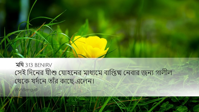 মথি 3:13 BENIRV Bible Verse Image