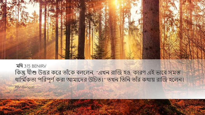 মথি 3:15 BENIRV Bible Verse Image