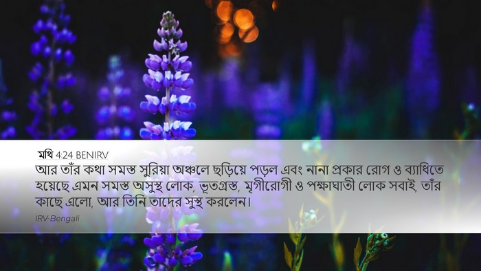 মথি 4:24 BENIRV Bible Verse Image