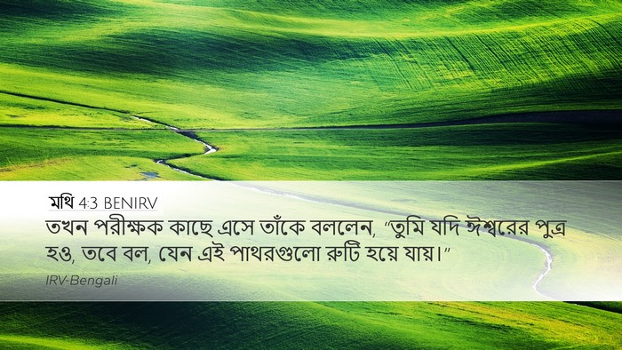 মথি 4:3 BENIRV Bible Verse Image
