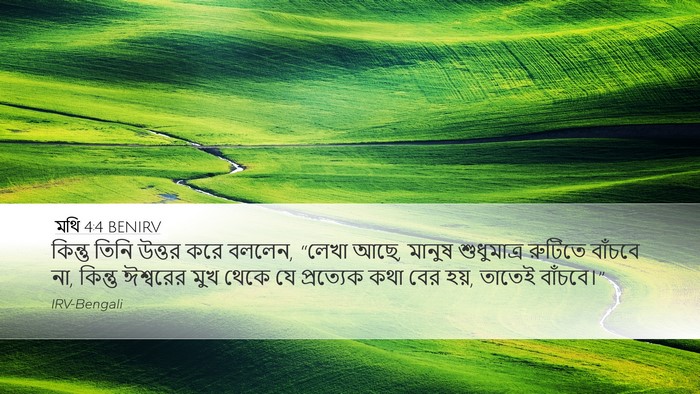 মথি 4:4 BENIRV Bible Verse Image