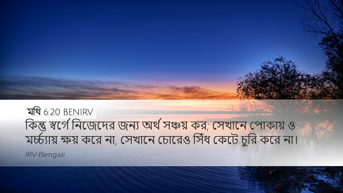 মথি 6:20 BENIRV Bible Verse Image
