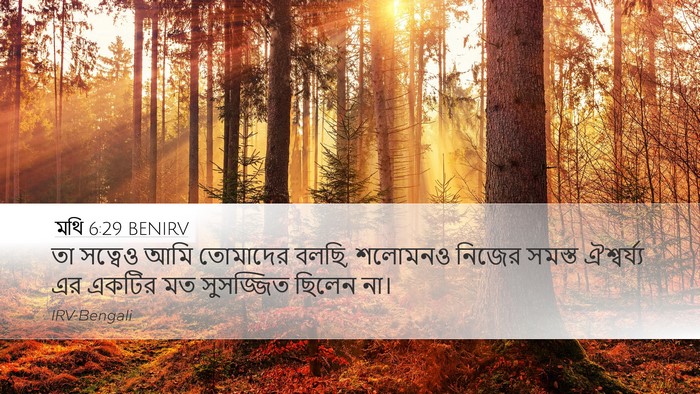 মথি 6:29 BENIRV Bible Verse Image