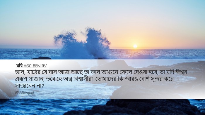 মথি 6:30 BENIRV Bible Verse Image
