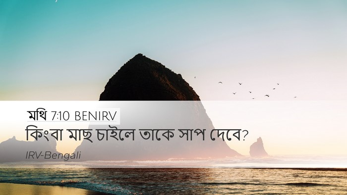মথি 7:10 BENIRV Desktop Wallpaper - কিংবা মাছ চাইলে - Desktop Bible Verse Wallpaper