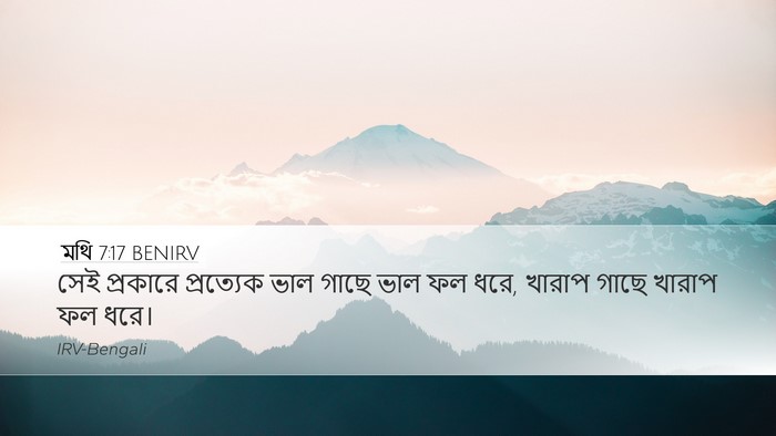 মথি 7:17 BENIRV Desktop Wallpaper - সেই প্রকারে - Desktop Bible Verse Wallpaper