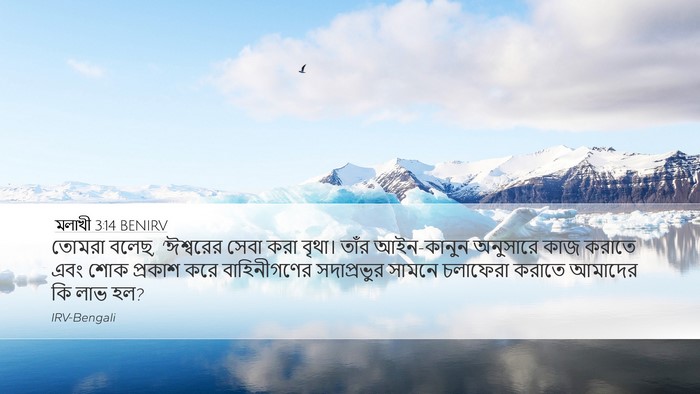মলাখী 3:14 BENIRV Bible Verse Image