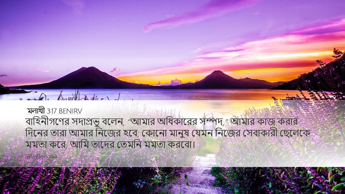 মলাখী 3:17 BENIRV Bible Verse Image