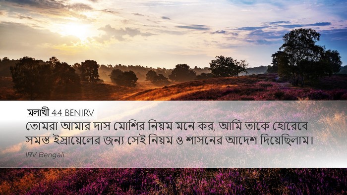 মলাখী 4:4 BENIRV Bible Verse Image