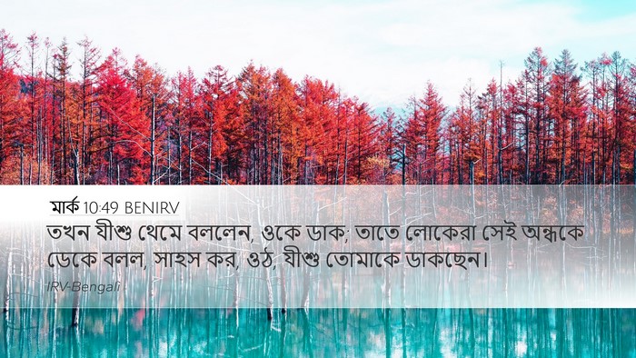 মার্ক 10:49 BENIRV Desktop Wallpaper - তখন যীশু থেমে - Desktop Bible Verse Wallpaper