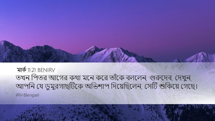 মার্ক 11:21 BENIRV Bible Verse Image