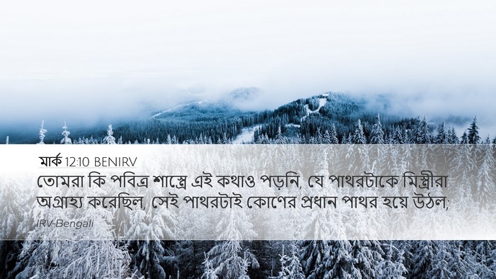 মার্ক 12:10 BENIRV Bible Verse Image