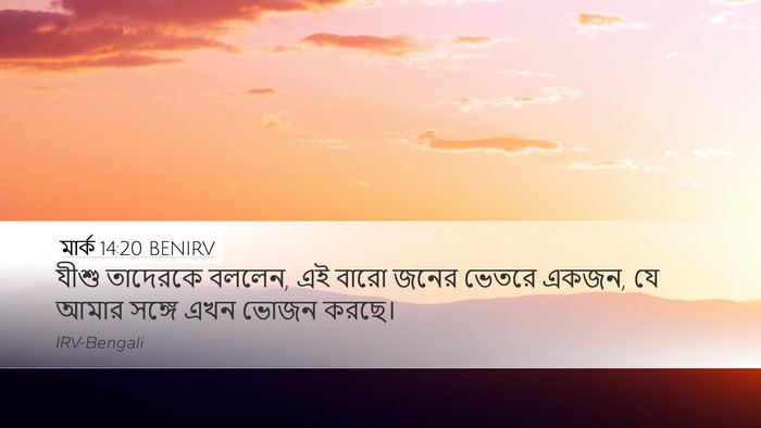 মার্ক 14:20 BENIRV Bible Verse Image