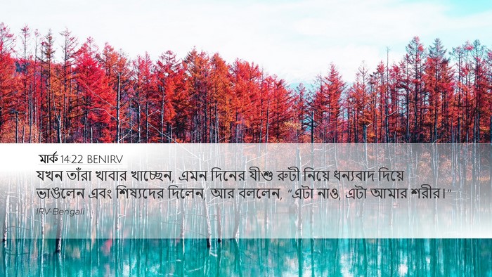 মার্ক 14:22 BENIRV Bible Verse Image