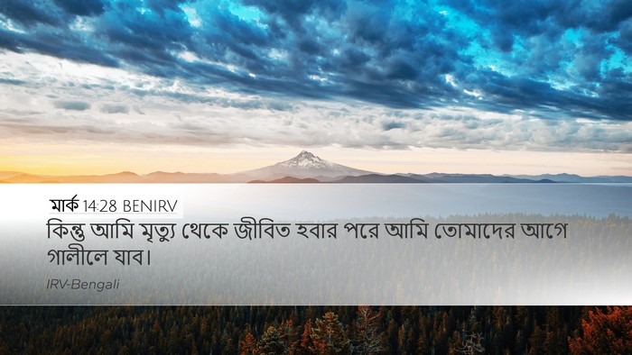 মার্ক 14:28 BENIRV Bible Verse Image