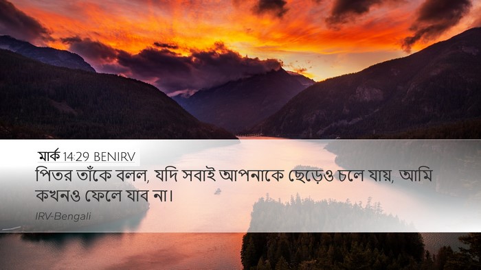 মার্ক 14:29 BENIRV Bible Verse Image