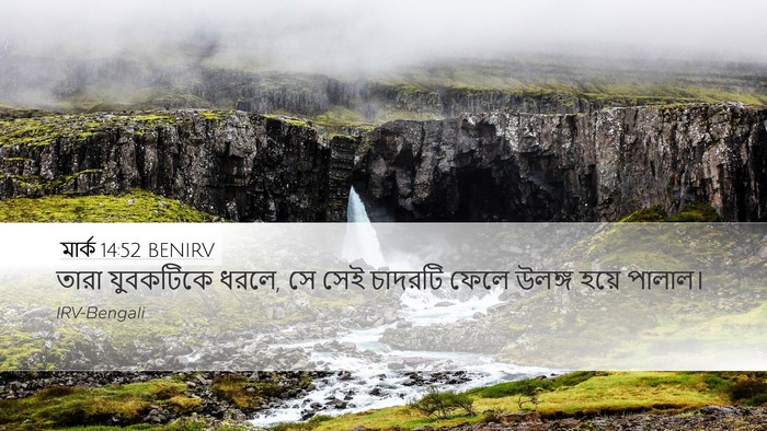 মার্ক 14:52 BENIRV Bible Verse Image