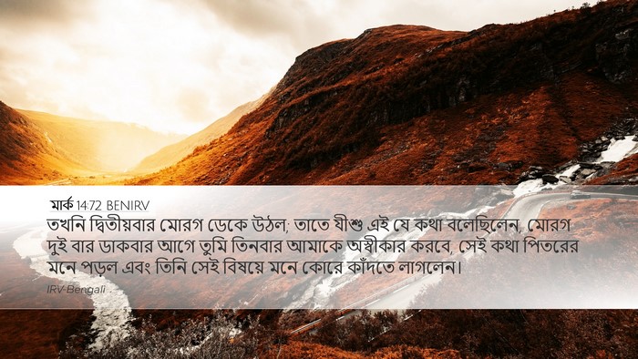 মার্ক 14:72 BENIRV Bible Verse Image