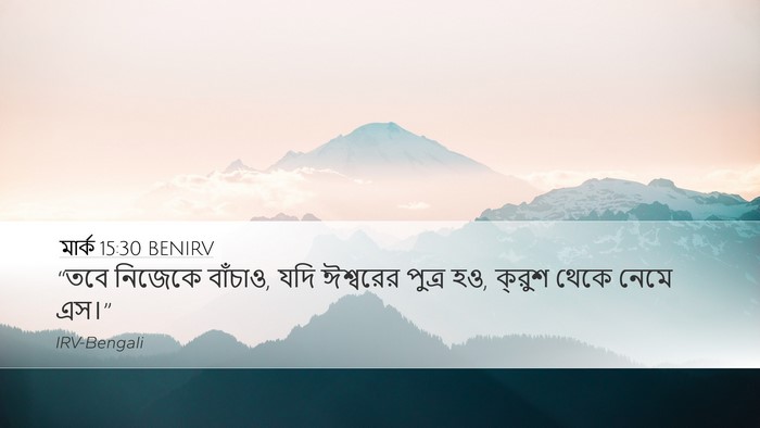 মার্ক 15:30 BENIRV Bible Verse Image