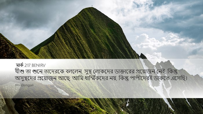 মার্ক 2:17 BENIRV Bible Verse Image