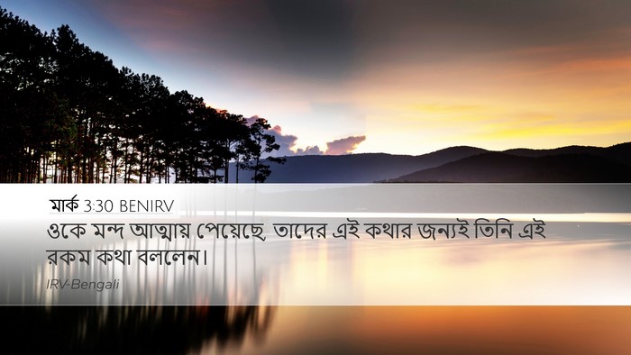 মার্ক 3:30 BENIRV Bible Verse Image
