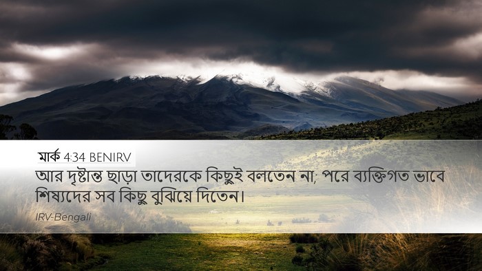 মার্ক 4:34 BENIRV Bible Verse Image