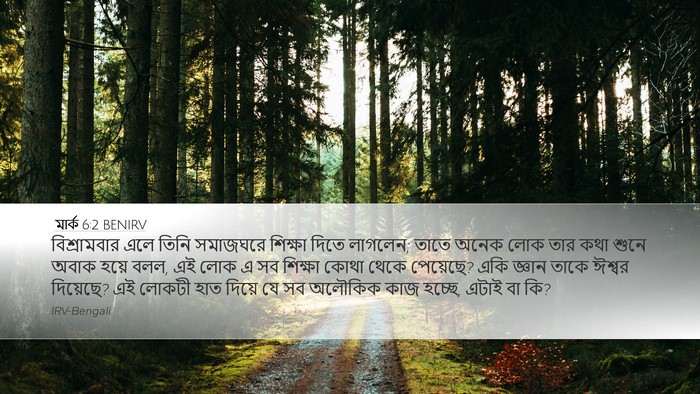 মার্ক 6:2 BENIRV Bible Verse Image