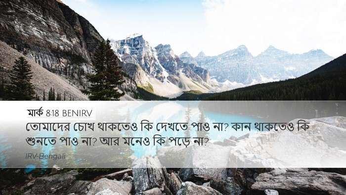 মার্ক 8:18 BENIRV Bible Verse Image