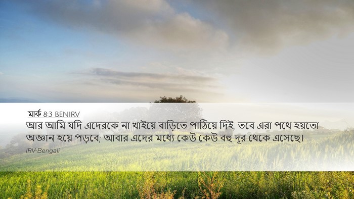 মার্ক 8:3 BENIRV Bible Verse Image