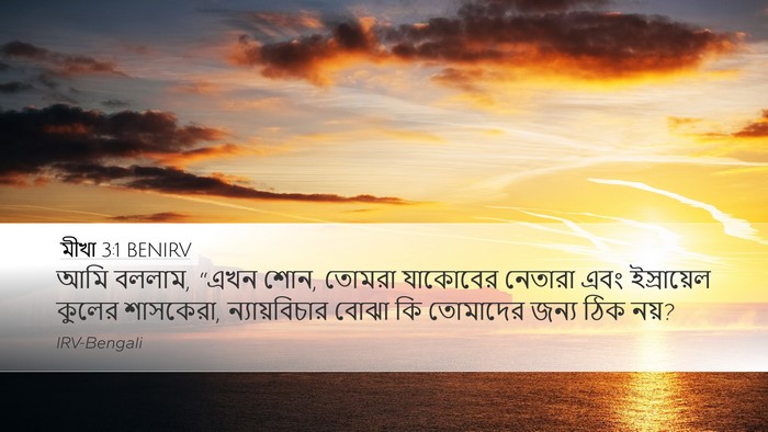 মীখা 3:1 BENIRV Bible Verse Image