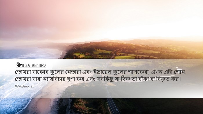 মীখা 3:9 BENIRV Bible Verse Image