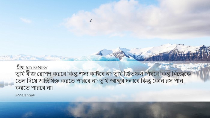 মীখা 6:15 BENIRV Bible Verse Image