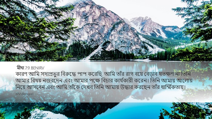 মীখা 7:9 BENIRV Bible Verse Image