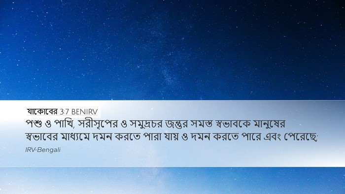 যাকোবের 3:7 BENIRV Desktop Wallpaper - পশু ও পাখি, - Desktop Bible Verse Wallpaper