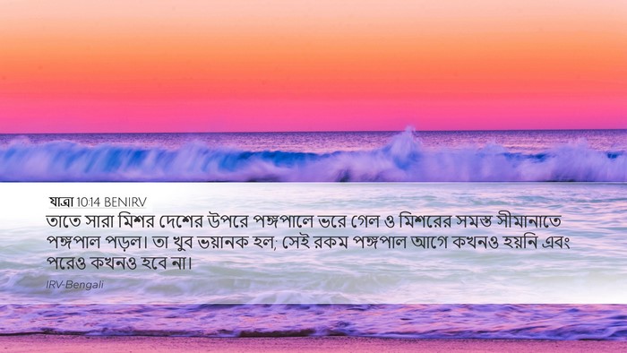 যাত্ৰা 10:14 BENIRV Bible Verse Image