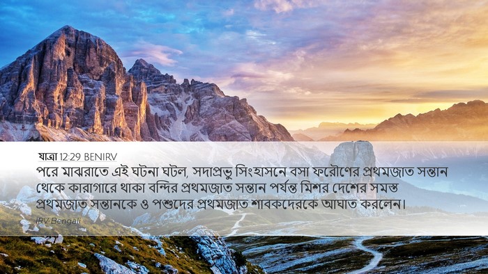 যাত্ৰা 12:29 BENIRV Bible Verse Image