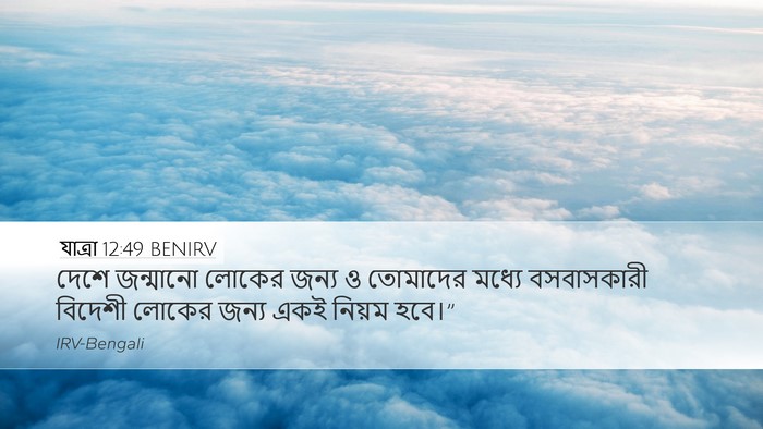 যাত্ৰা 12:49 BENIRV Bible Verse Image